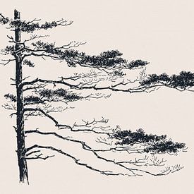 Pine Tree tak nr. 2 van Apolo Prints