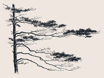 Pine Tree tak nr. 2 van Apolo Prints
