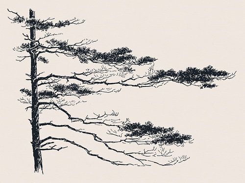 Pine Tree tak nr. 2 van Apolo Prints