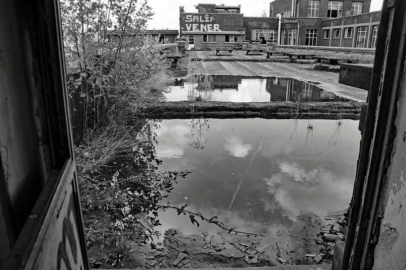 op dak oude universiteit van wil spijker