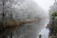 Winter wonderland