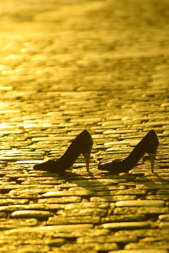 In goldenem Licht 