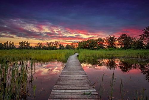 Het Vlonderpad, Beekbergerwoud