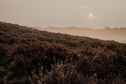 Sonnenaufgang Posbank