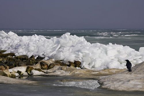 Kruiend ijs op het Markermeer