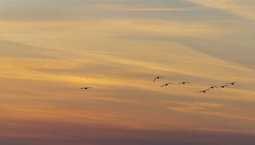 Peinture aérienne de la nature