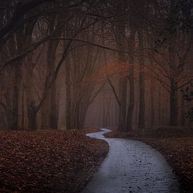 Herfst op de Woldberg van Maarten Salverda