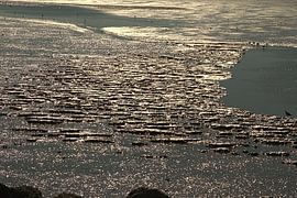 Zon op het wad von Nella van Zalk