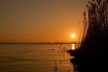 Sunset on the Boulevard in Bergen op Zoom by Sabina Meerman