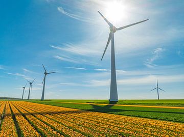 Tulpen in het veld met windturbines in de achtergrond van Sjoerd van der Wal Fotografie
