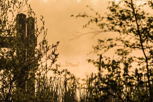 Golden hour at sunrise