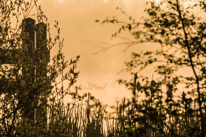 Golden hour at sunrise by Ans Bastiaanssen