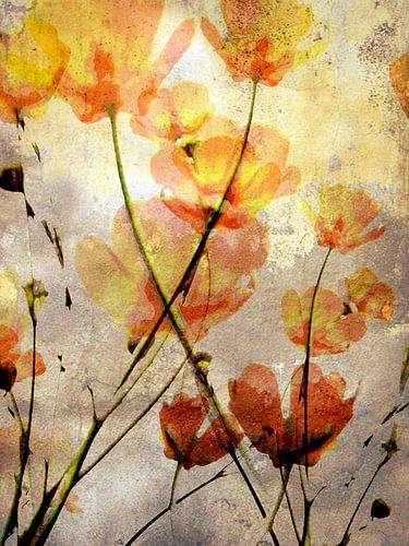 wallflower by fantasina