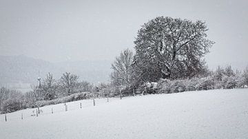 Winter in Wijlre van Rob Boon
