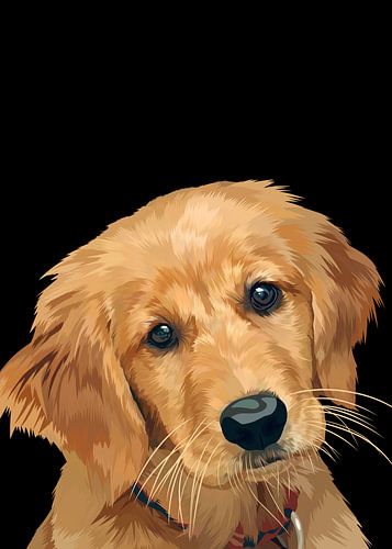Golden retriever vector