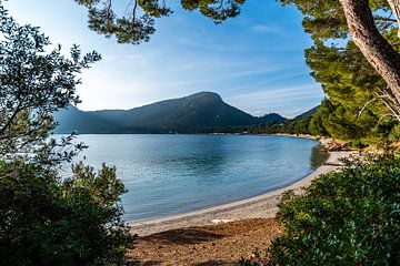 Adembenemend uitzicht op Platja Formentor van Joke Van Eeghem