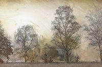 Automne