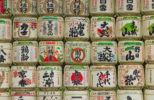 Yoyogi Park - Tokyo (Japan)