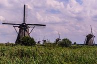 Windmühlen auf dem Kinderdijk von Brian Morgan Miniaturansicht