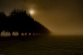 Foggy Morning by Arjen Uijttenboogaart