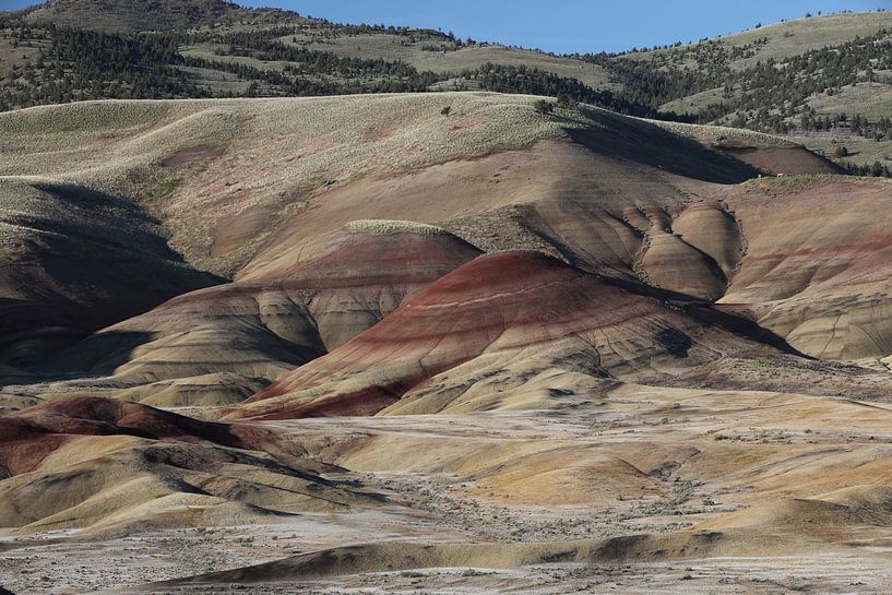 Painted Hills in the John Day Fossil Beds National Monument at Mitchell City, Wheeler County, Northe by Frank Fichtmüller