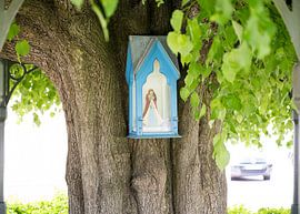 Westerlo sur Pieter van der Zweep