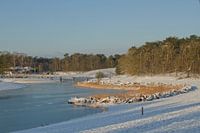 Sneeuw en ijs bij de Bergse Heide