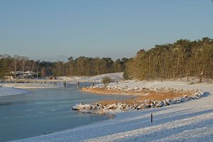 Schnee und Eis in der Bergse Heide