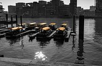 Water cab one color