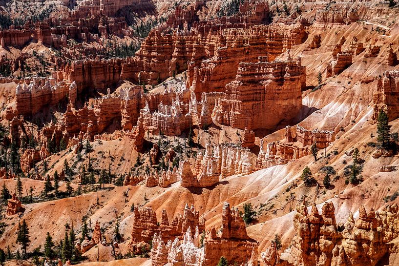 Bryce Canyon Utah von Tineke Visscher