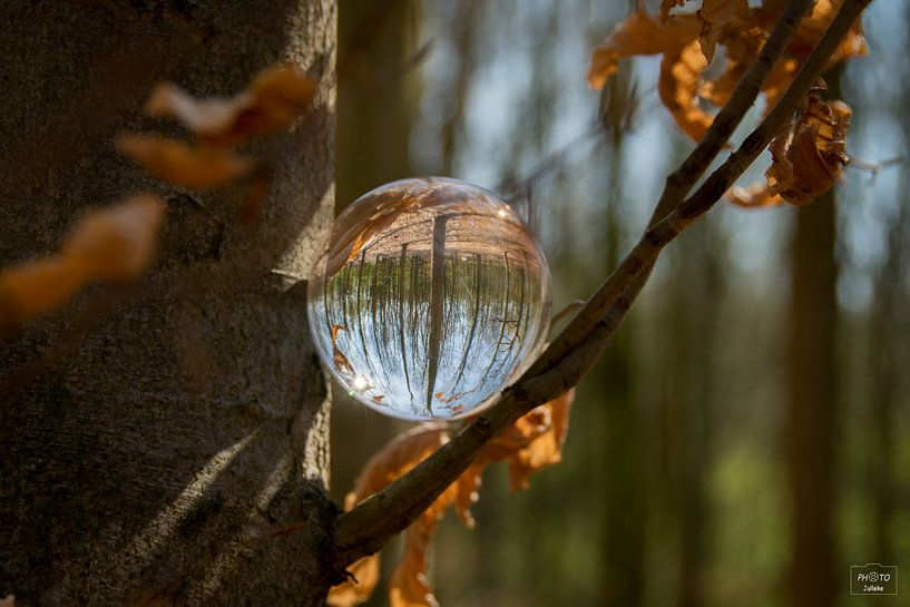 The lens ball in the forest by Photo Julleke