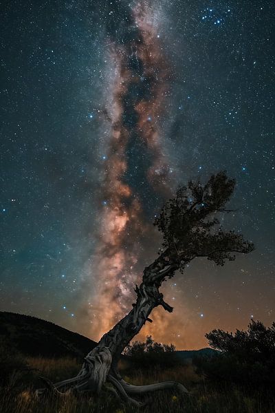 Sternenhimmel in der Wüste von fernlichtsicht