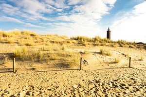 Duinen en vuurtoren