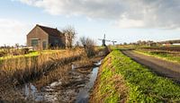 Typisch niederländische Landschaft mit Windmühle von Ruud Morijn Miniaturansicht