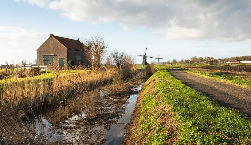 Typisch niederländische Landschaft mit Windmühle von Ruud Morijn