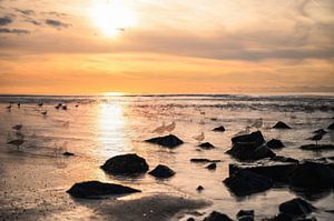 Scheveningen Teil 10