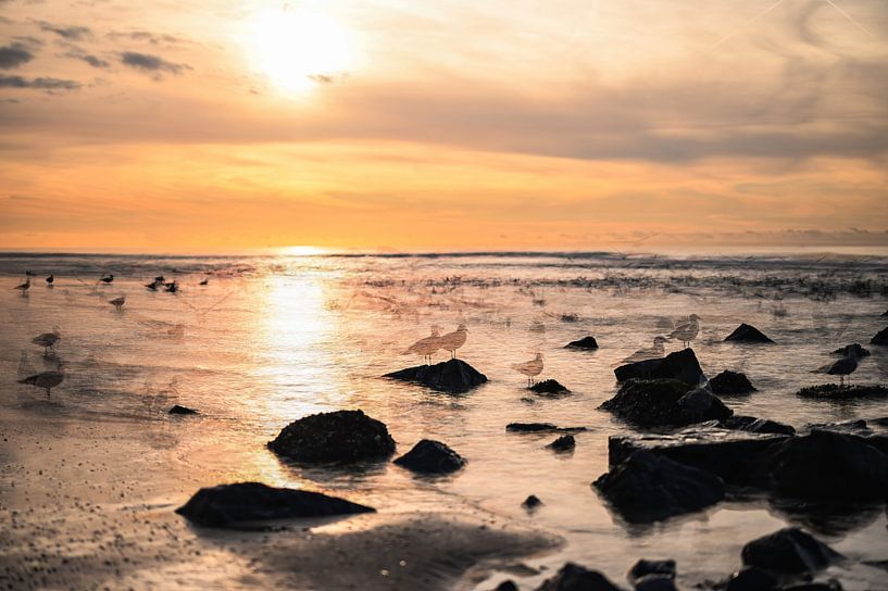 Scheveningen part 10 by Tania Perneel