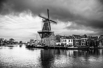Haarlem the Adriaan by Brian Morgan