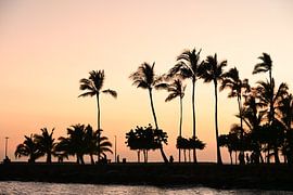 coucher de soleil Magic Island, Ala Moana Beach Park sur Jennifer Menting