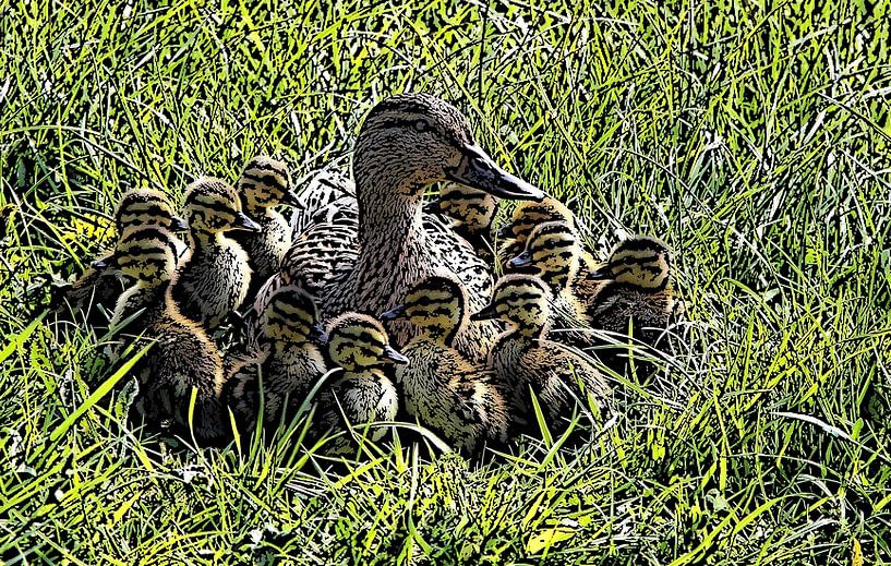 Duck with young. by Jose Lok