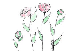Pavots sur Atelier Maartje