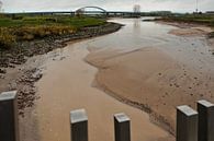 Pontwaardgeul Vianen van Maarten Kerkhof thumbnail