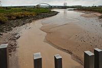 Pontwaardgeul Vianen
