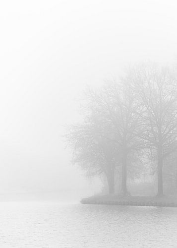Abandonné