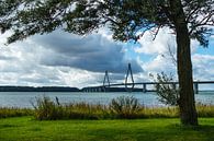 Landscape with bridge in Denmark. by Rico Ködder thumbnail