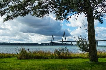 Blick auf eine Brücke in Dänemark von Rico Ködder