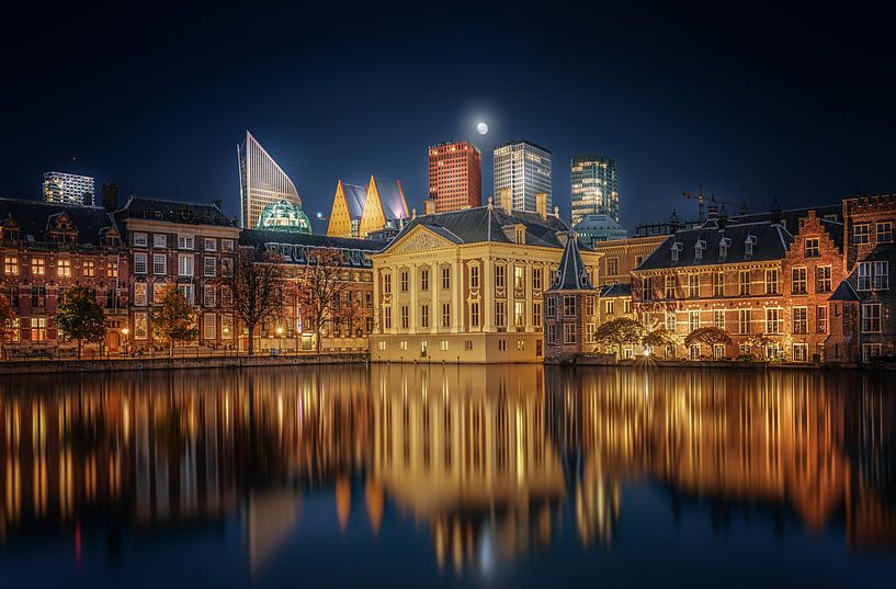 The Hague Mauritshuis by Herman van den Berge