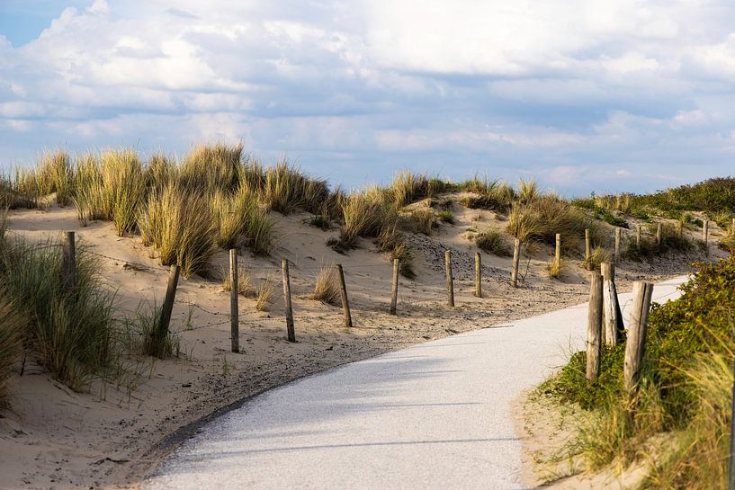 Chemin des dunes par Piet Hein Schuijff
