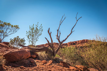 Kings Canyon - Australie