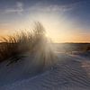  zonsondergang achter de Hollandse duinen van gaps photography